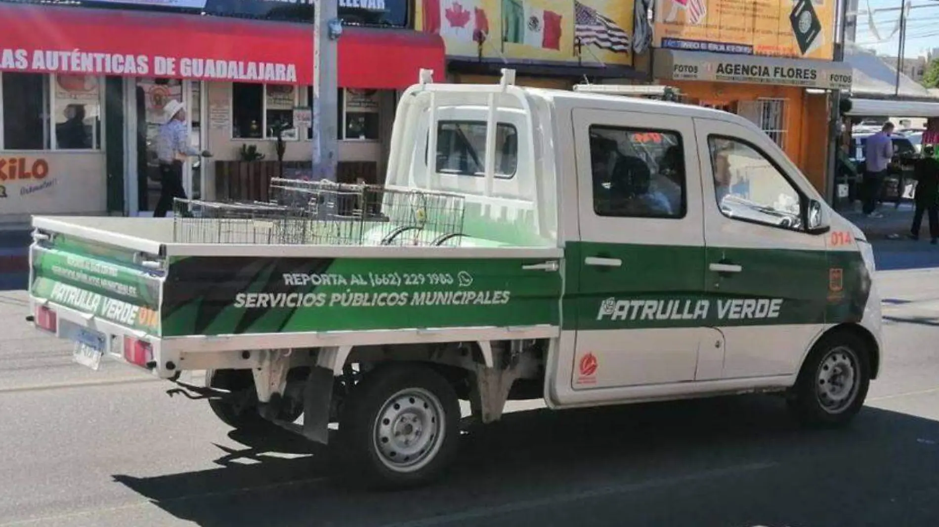 Patrulle Verde en Hermosillo - Portada